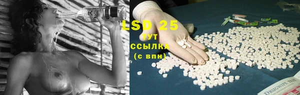 трава Кодинск