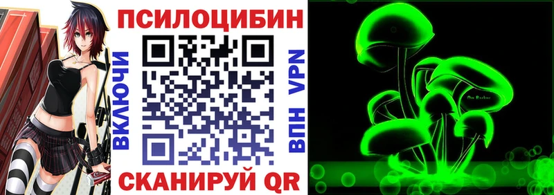 Купить закладки  Нефтегорск  Псилоцибиновые грибы Magic Shrooms 